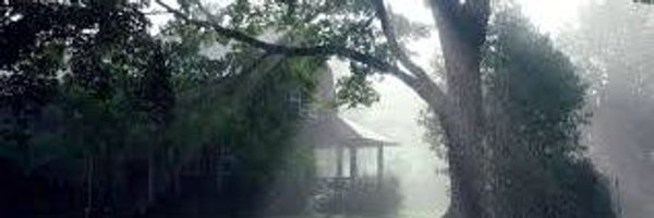 Shadowfall_snow's profile banner image