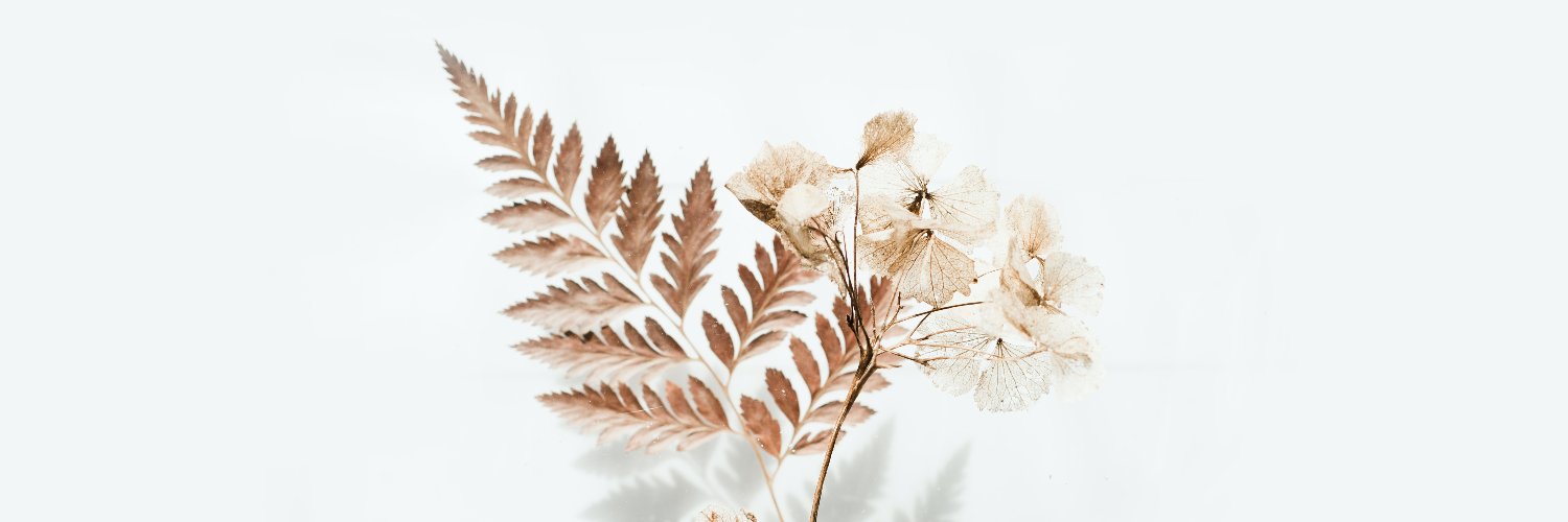 asifik22's profile banner image