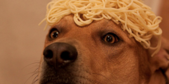Quintzy's profile banner image