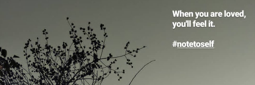 sagitaria93's profile banner image