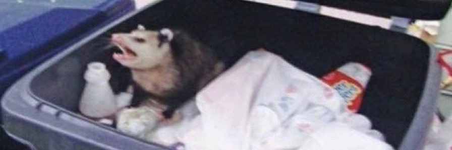liv banner