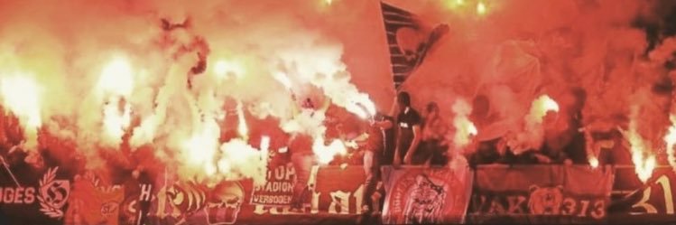 DDitillieu's profile banner image
