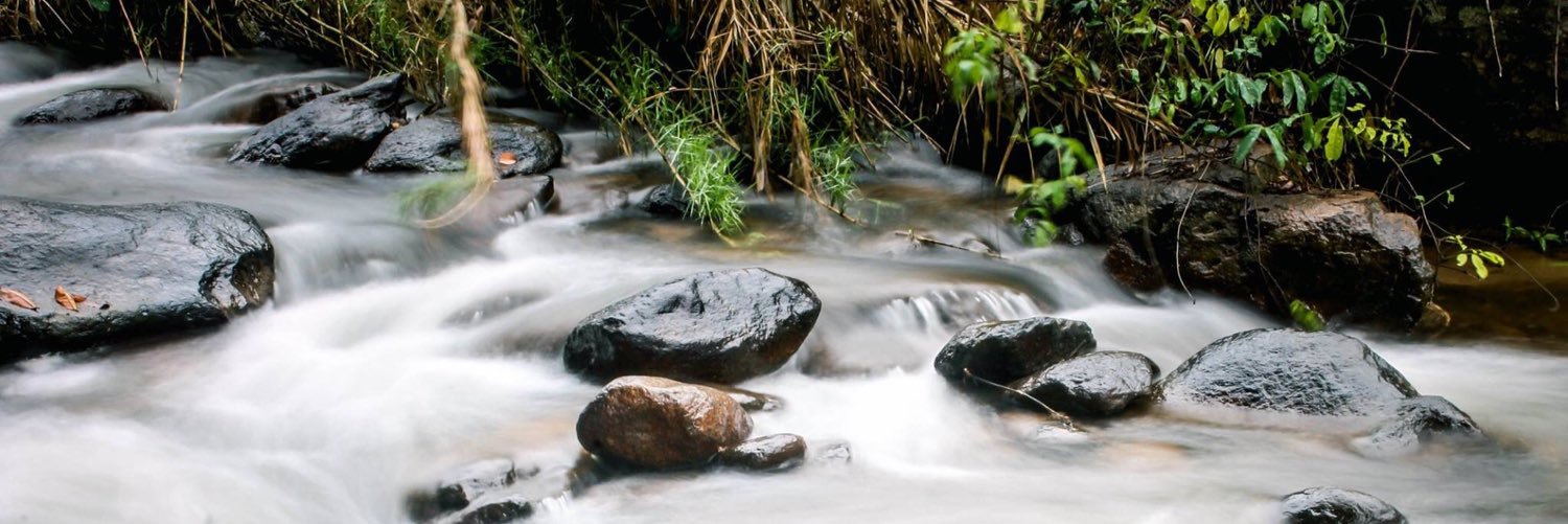 • Poppo • banner