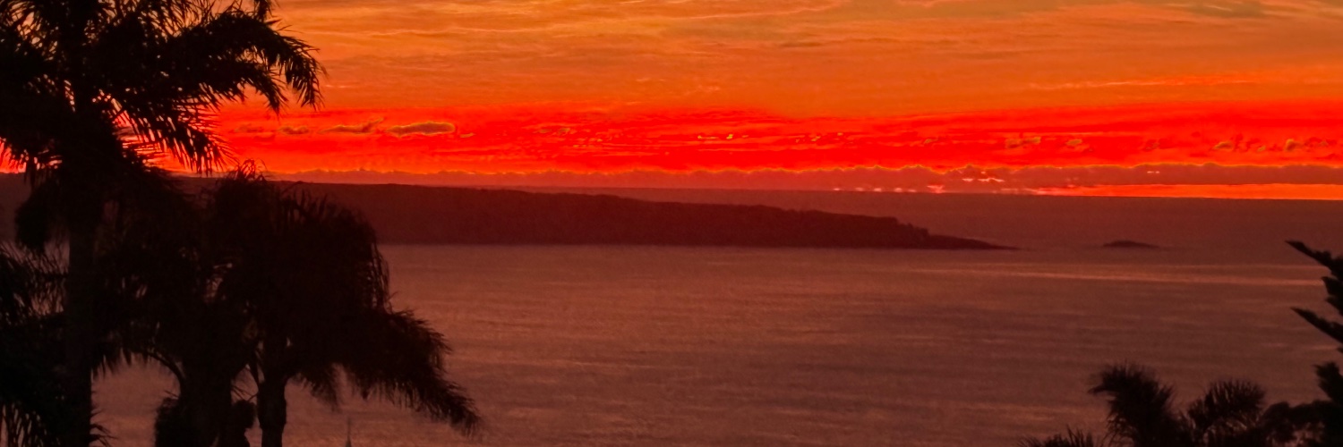 fireplayer87's profile banner image