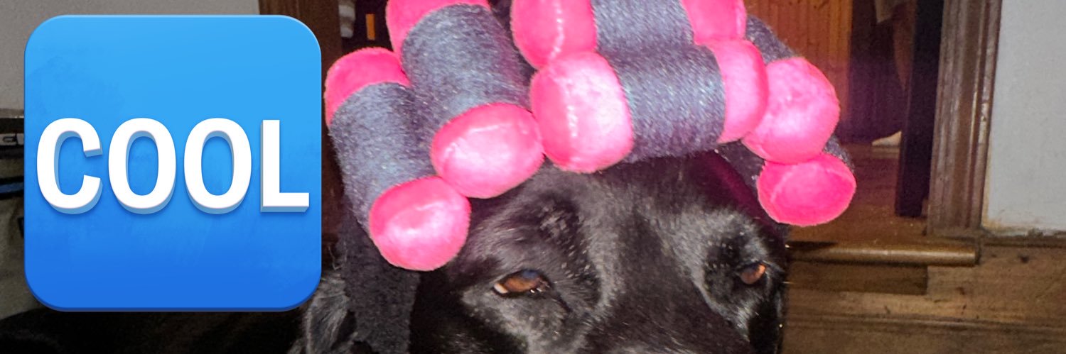 MaddieCrook's profile banner image