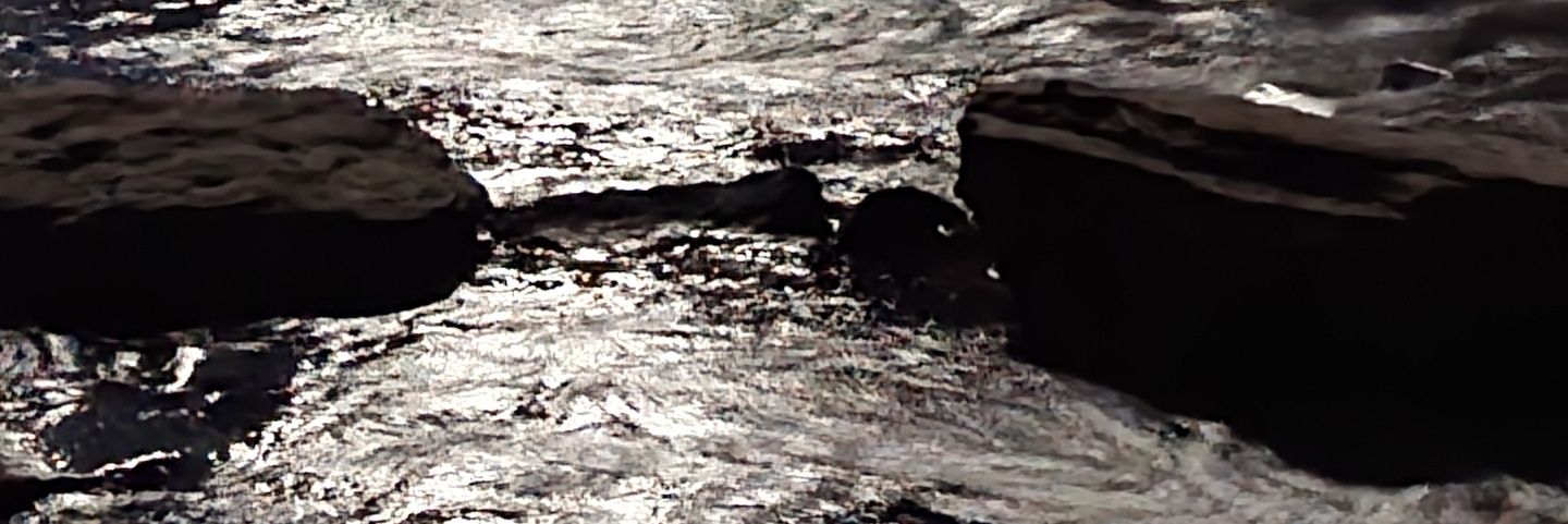rdmonte's profile banner image