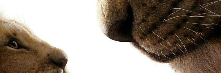 prostar24's profile banner image