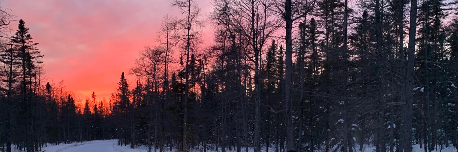 gare_bear199's profile banner image