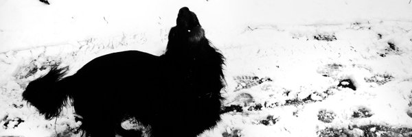 gillesboeuf Profile Banner