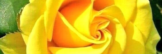 itsmetinP's profile banner image
