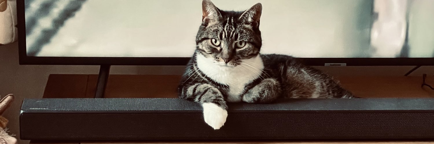 Samantha Roberts 💙 banner