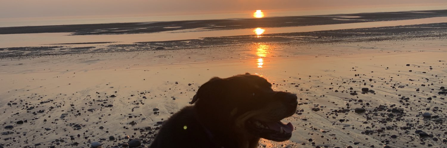 pingu33333's profile banner image