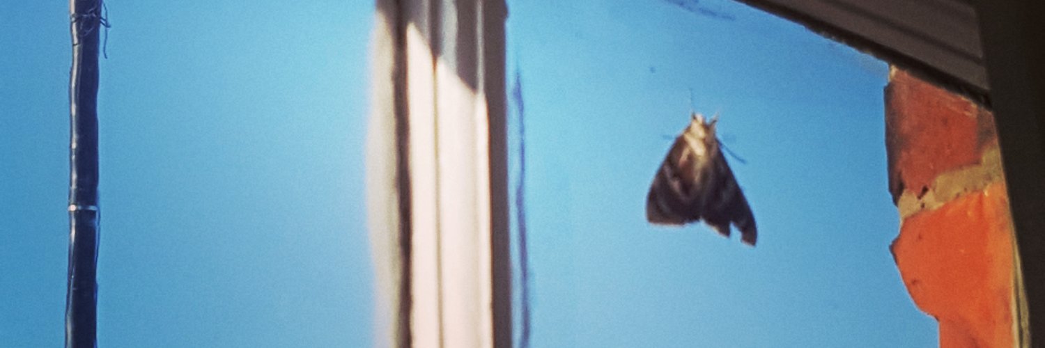 fairlyorganic's profile banner image