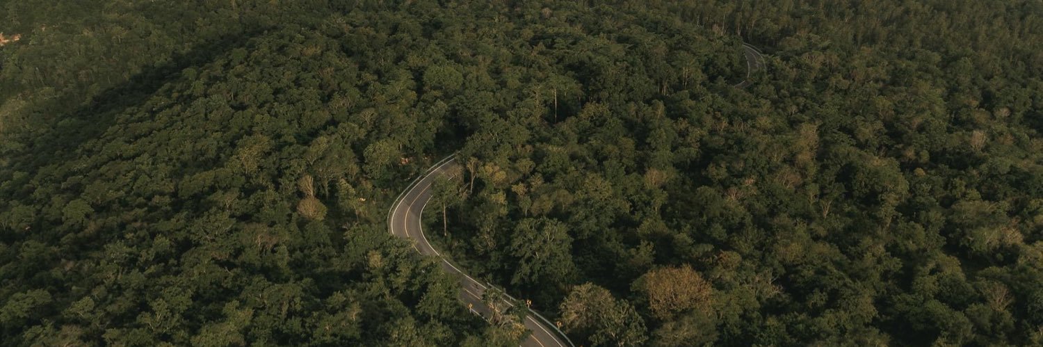 Ployy 🦦428 banner