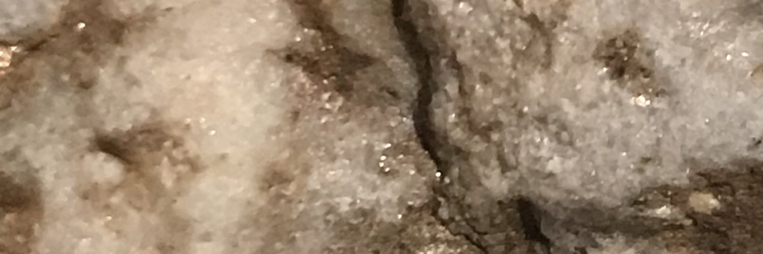 Daniel J Ebbeling banner