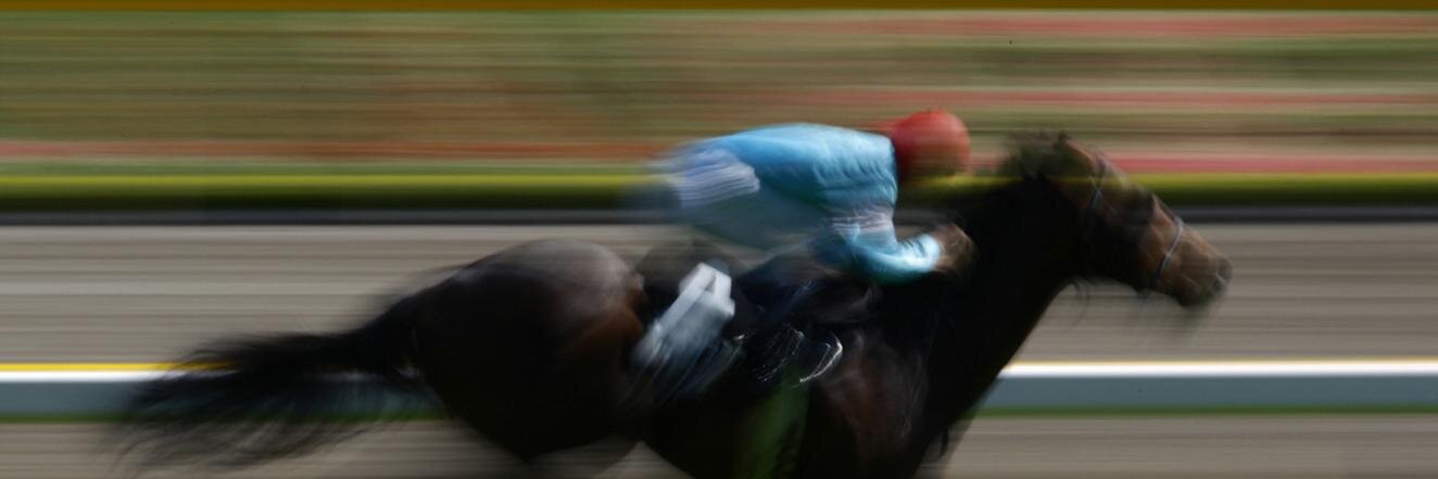racing_tips's profile banner image