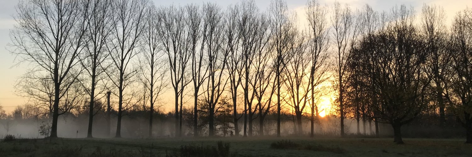 Magdalena Piotrowska banner