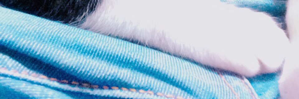 muu8815's profile banner image