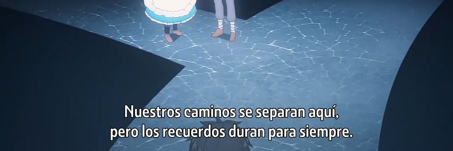 Adry,V._009 #PokeCrew banner