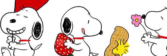 555Ya's profile banner image