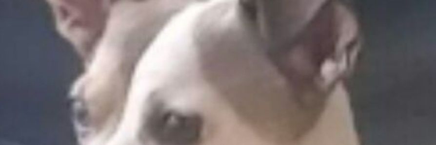 wwilks's profile banner image