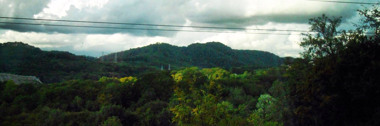 SolntsevaKris's profile banner image