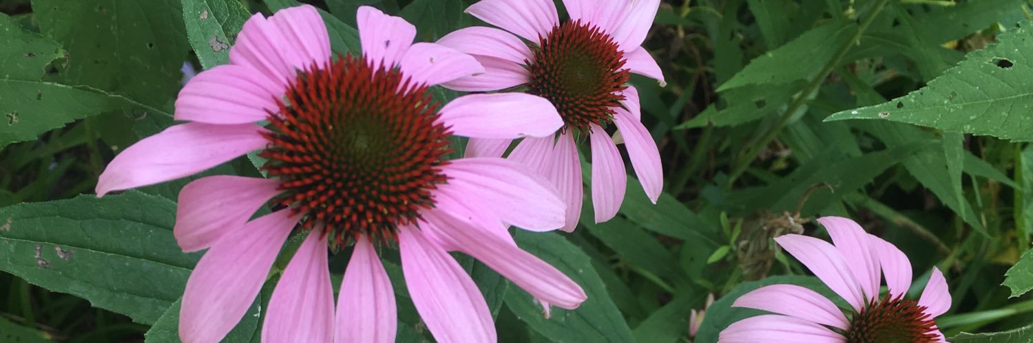 amandamarie613's profile banner image