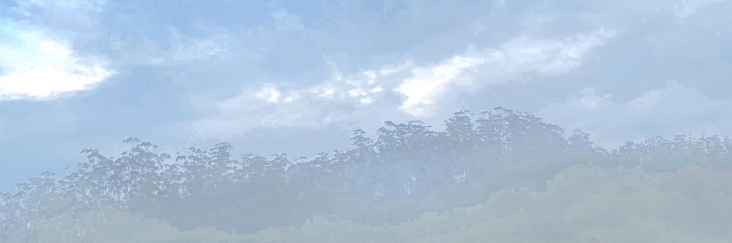 cybummm's profile banner image