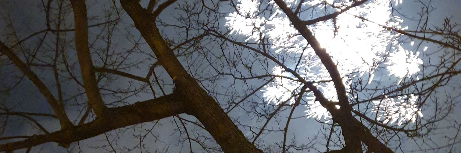 MShobbur's profile banner image