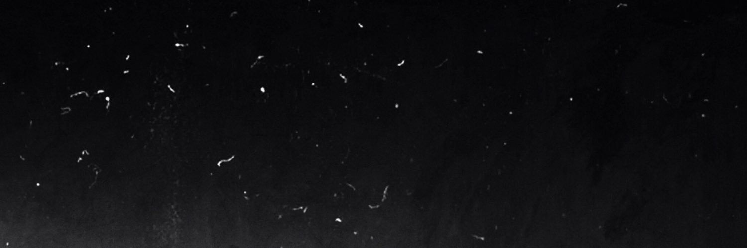 tuittuil's profile banner image