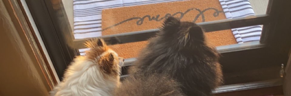 zmuhl18's profile banner image