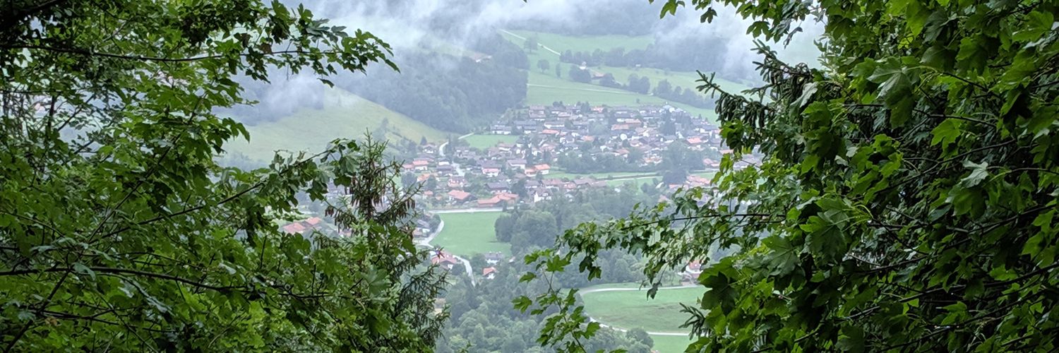 Frank Strube 🇪🇺 banner