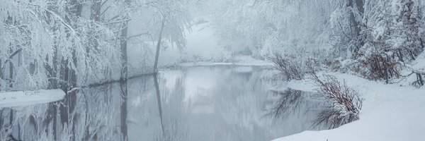 frei_t4c Profile Banner