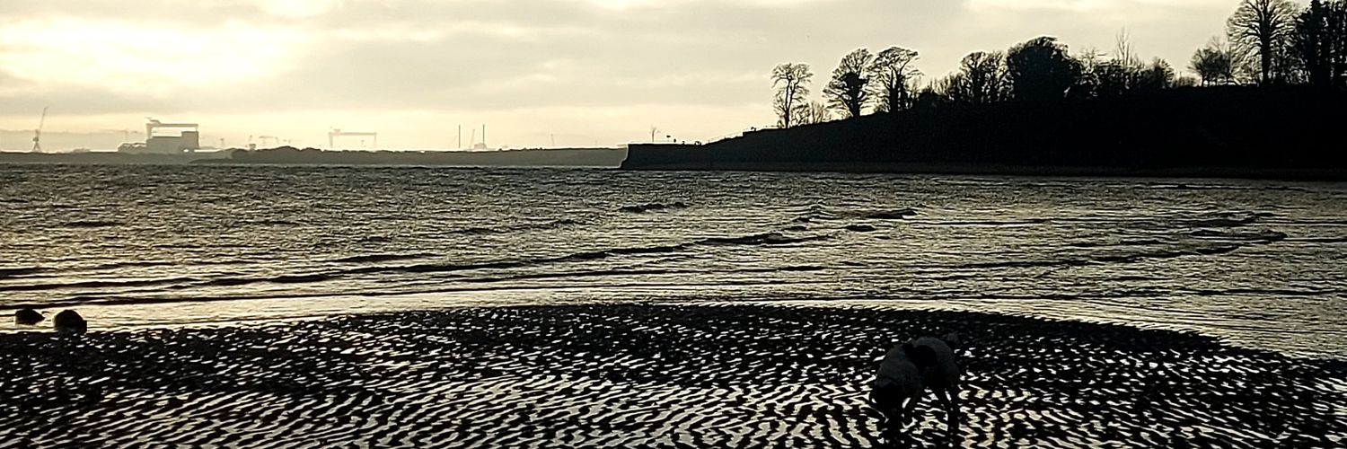 Nora006C's profile banner image