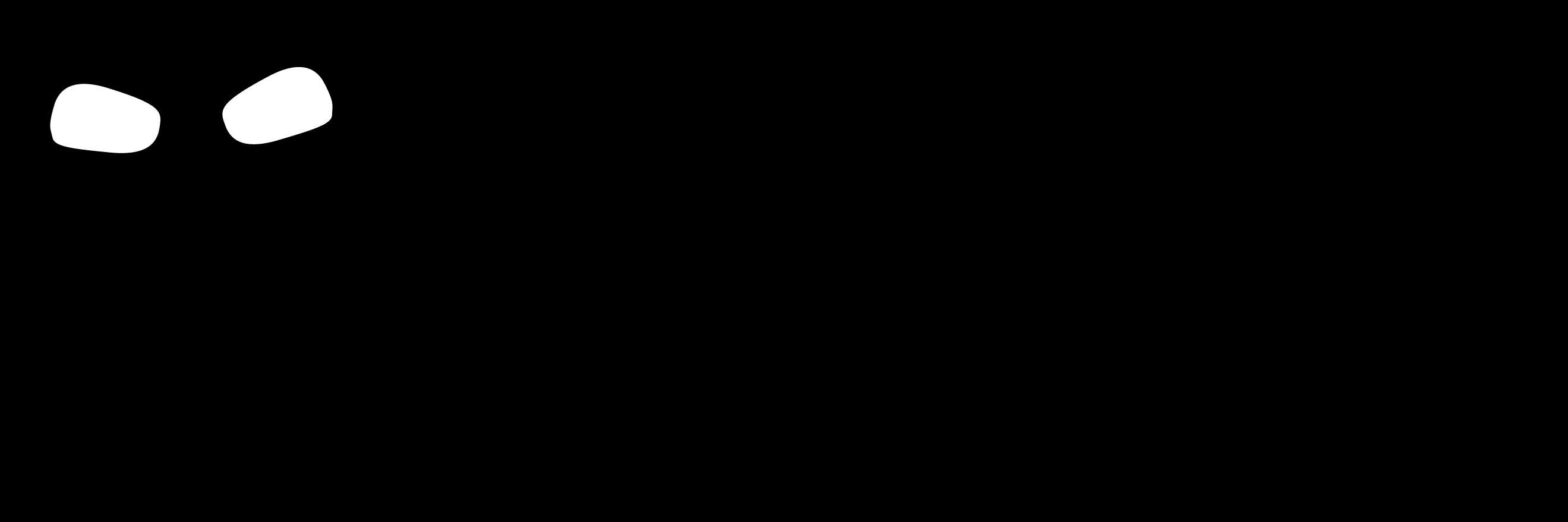 Sr_Licorne's profile banner image
