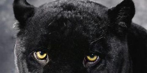 CarlosPC97's profile banner image