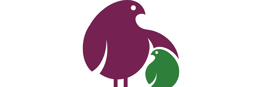 Cuidadores Familiars's banner
