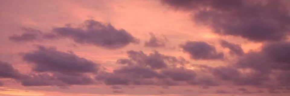 apehalini's profile banner image