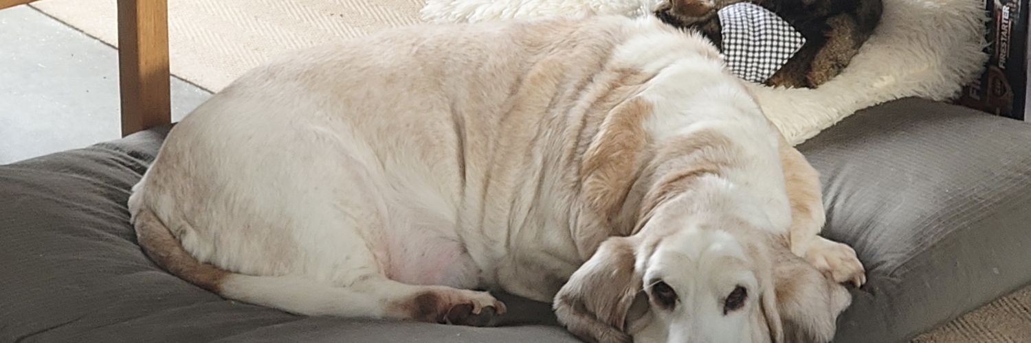 Tom Owen 🤦‍♂️ banner