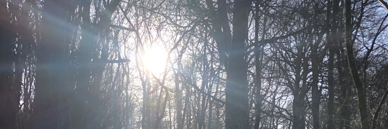 Nick Beckingham banner