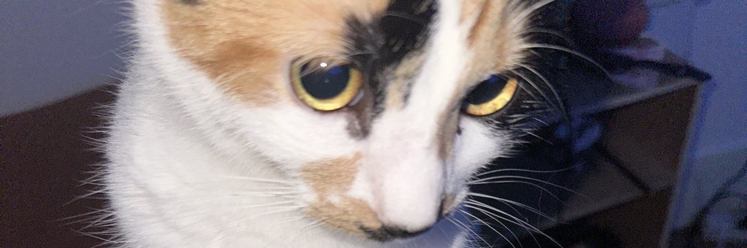 __notrob's profile banner image