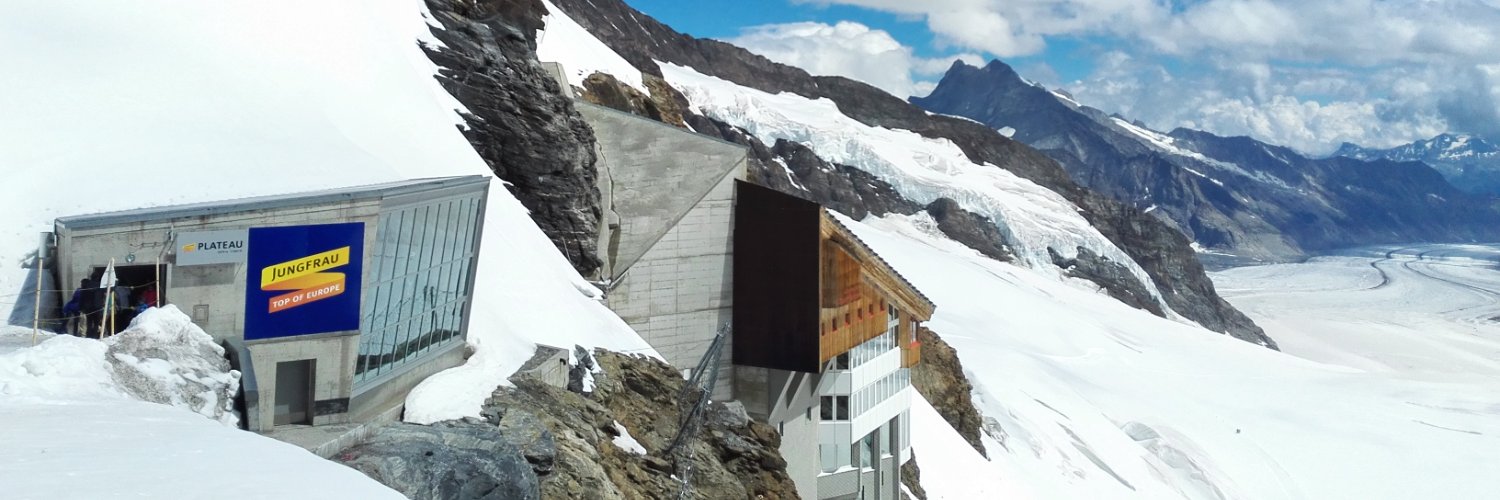 はち（ハチ🐝） banner