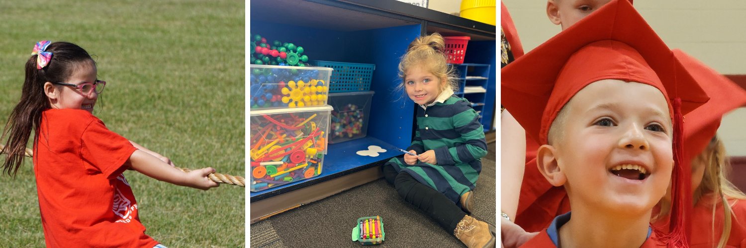 Reeds Spring Primary School banner