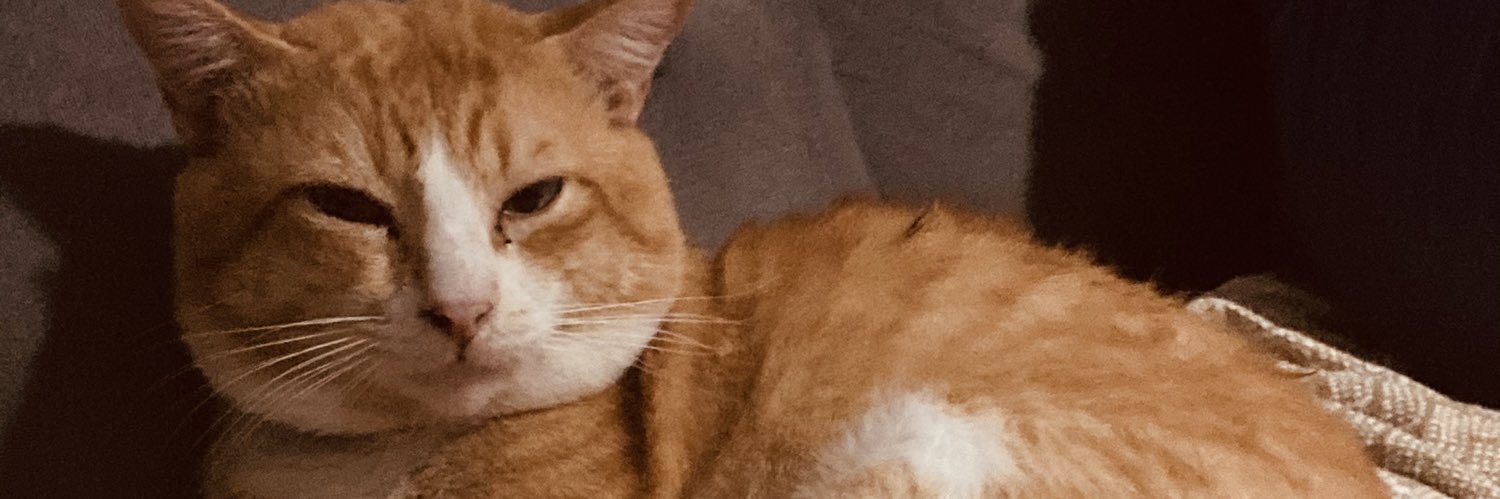 AyllaVit's profile banner image