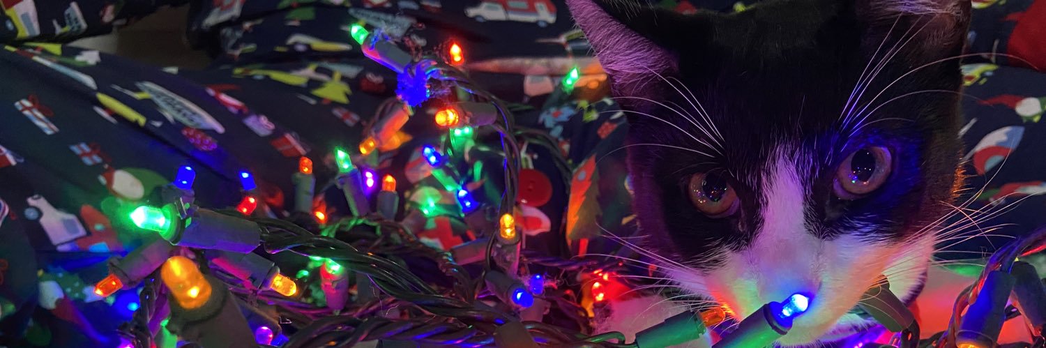 authentic_quan1's profile banner image