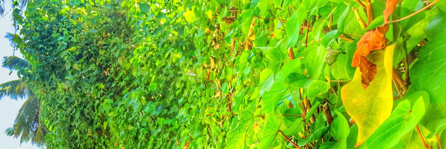 i_ismaail's profile banner image