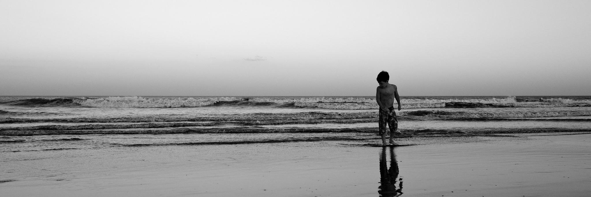 Emilie Cailleau banner