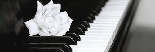lyly_ba's profile banner image