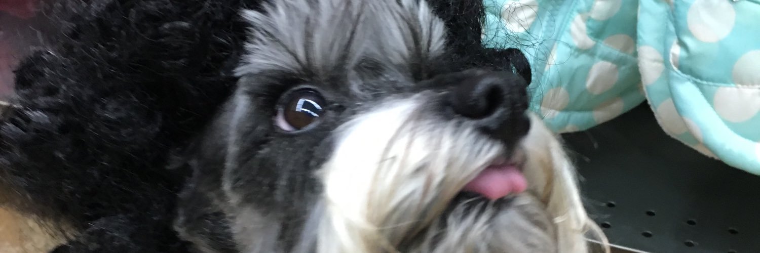 nycooI's profile banner image