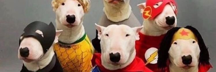 Jonny McCartney banner